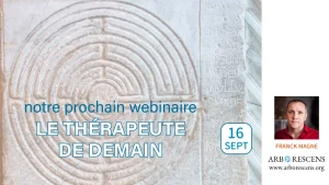 Webinaire 3